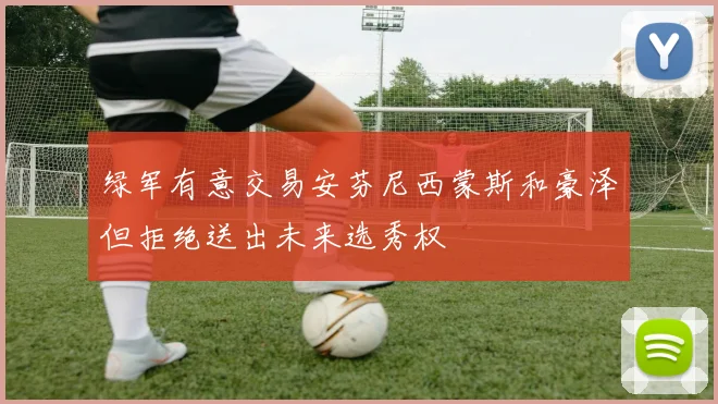 绿军有意交易安芬尼西蒙斯和豪泽但拒绝送出未来选秀权
