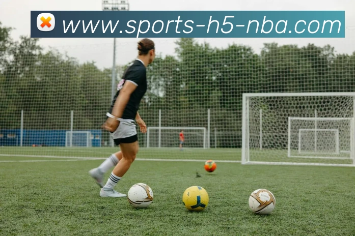 南宫体育平台生态图